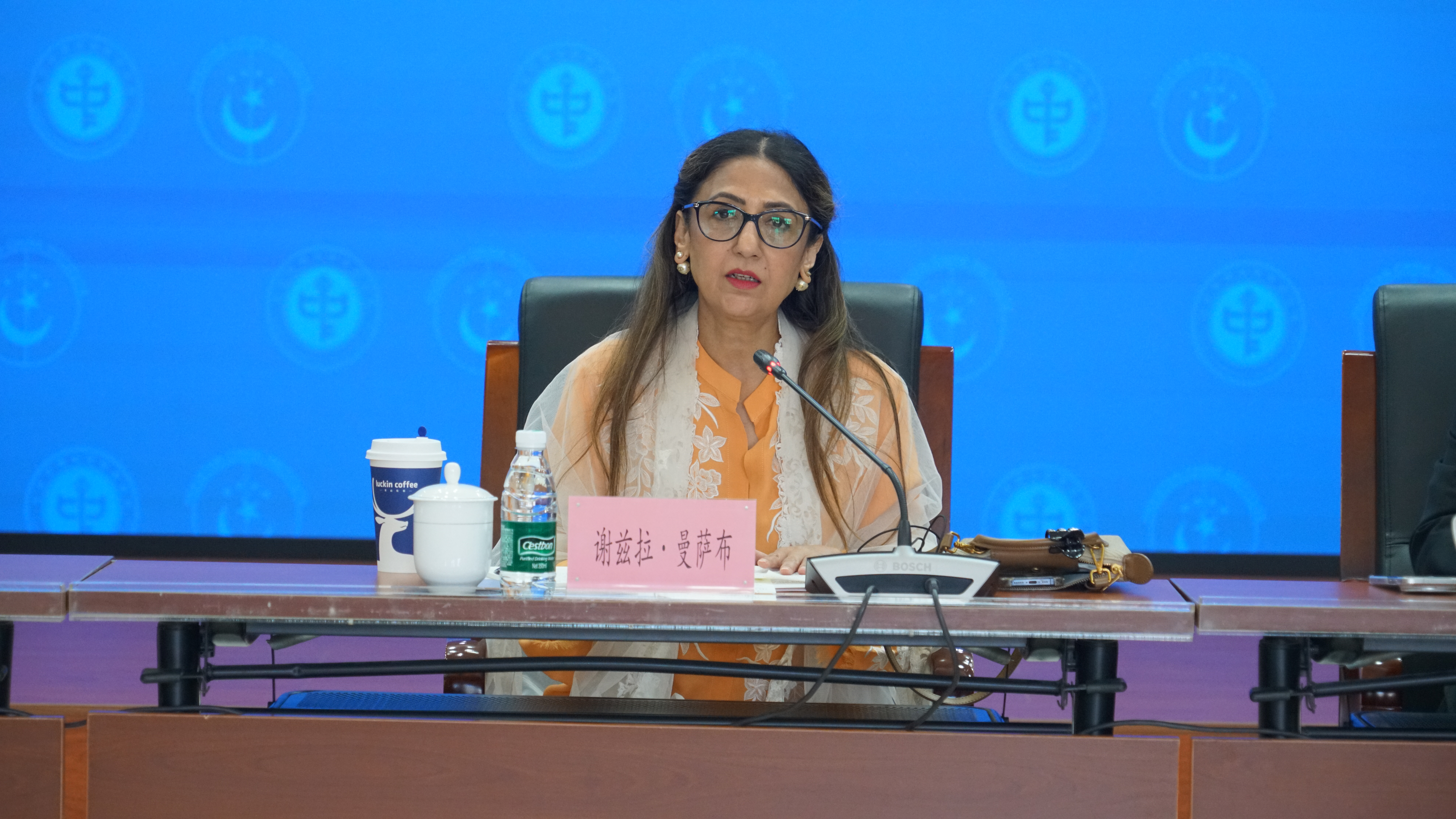 中巴学者共话“共同现代化与命运共同体建设”
